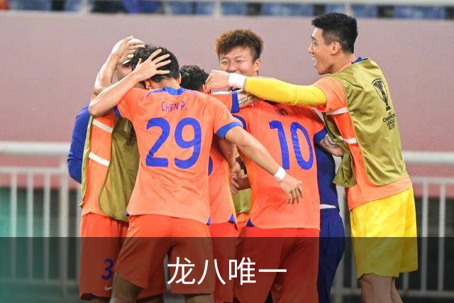 龙八唯一公司简介图片